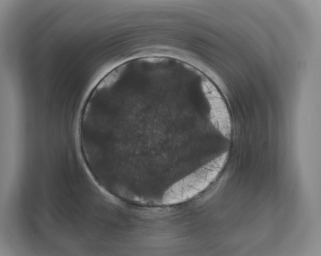X0000111421533200908241122