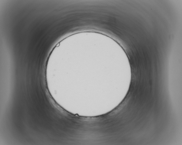 X0000111421534200908241122