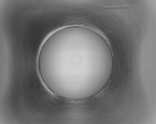X0000111421536200908241122