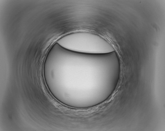 X0000111430001200907131050