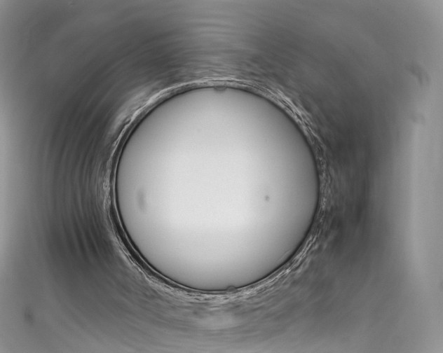 X0000111430002200907131050