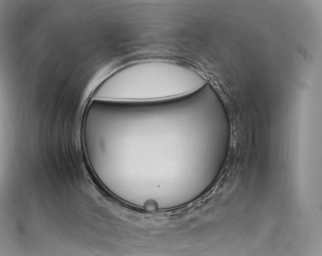 X0000111430004200907131050