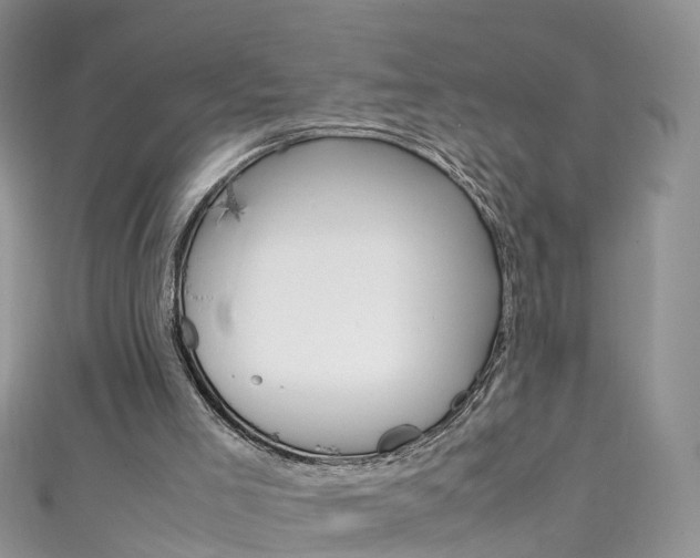X0000111430005200907131050