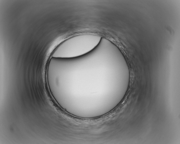 X0000111430006200907131050