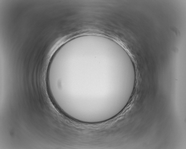 X0000111430007200907131050