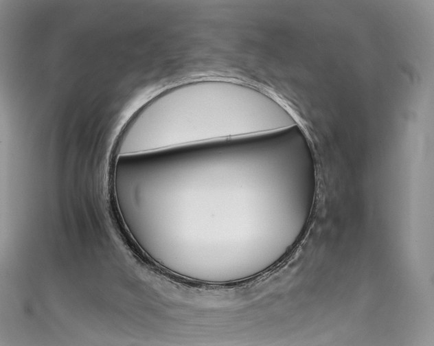 X0000111430008200907131050