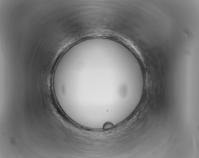 X0000111430010200907131049
