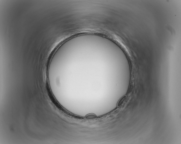 X0000111430011200907131049