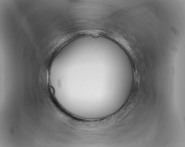 X0000111430013200907131049