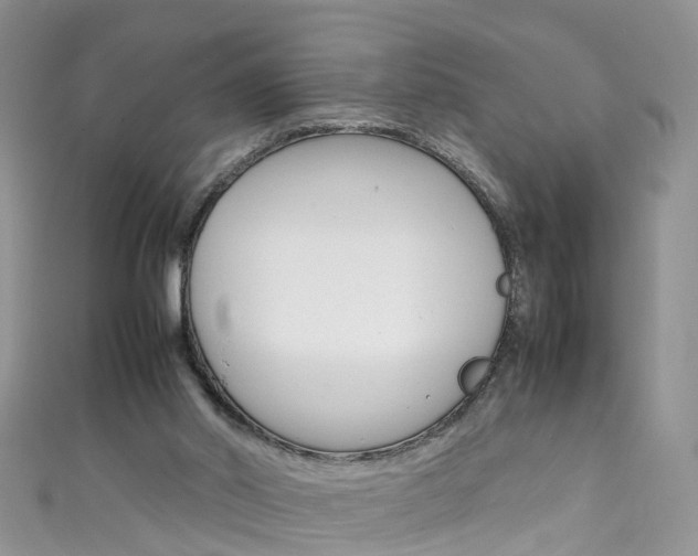 X0000111430014200907131049