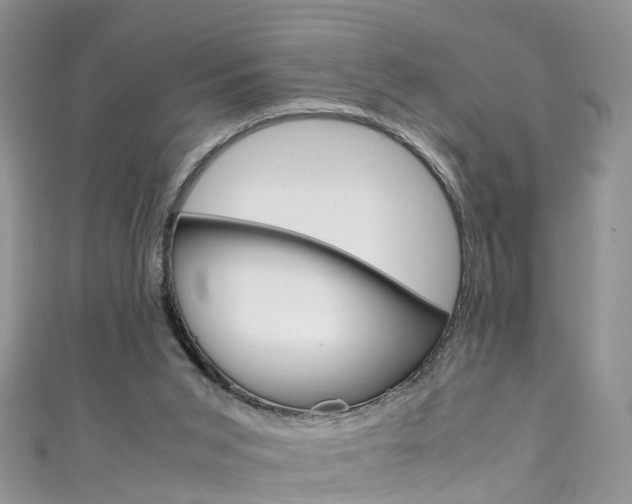 X0000111430015200907131049