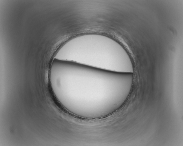 X0000111430019200907131049