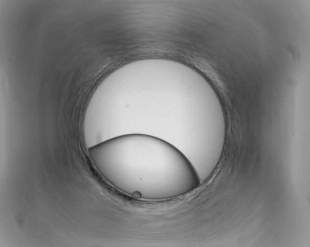 X0000111430021200907131049
