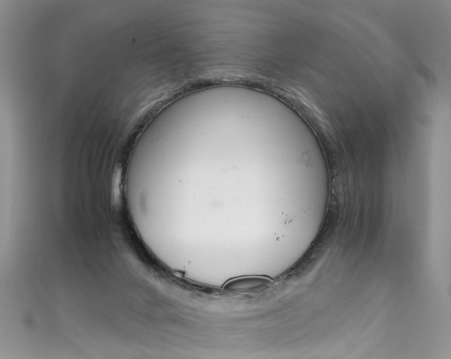 X0000111430024200907131049