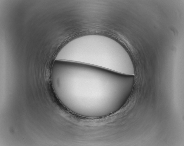 X0000111430025200907131049