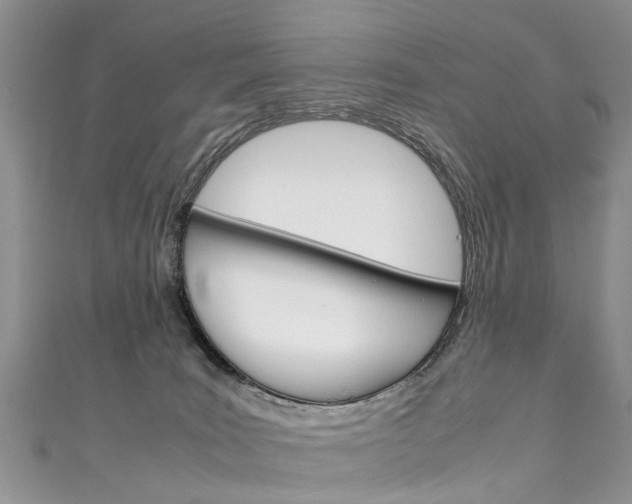 X0000111430035200907131049