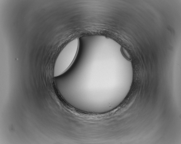 X0000111430040200907131049