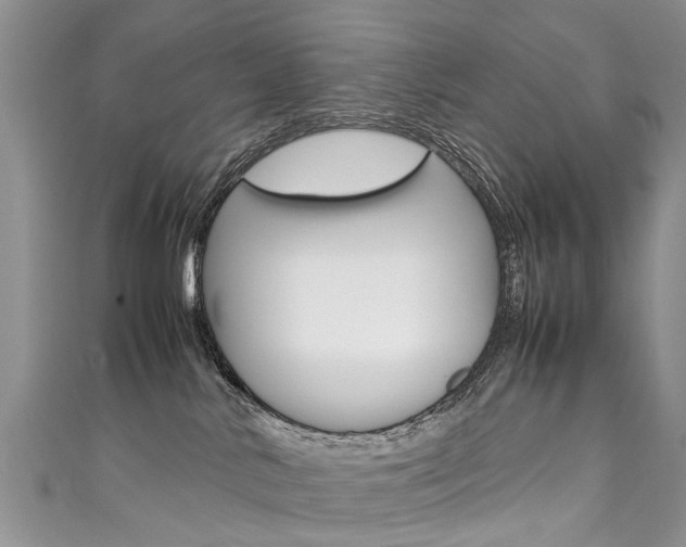 X0000111430042200907131049