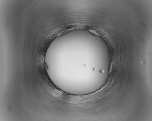 X0000111430045200907131049