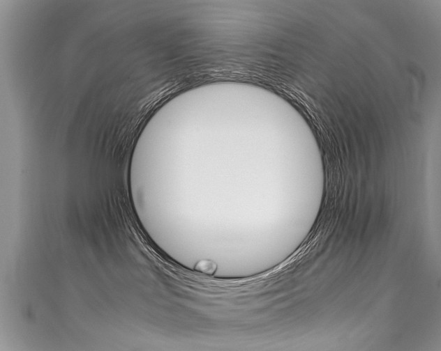 X0000111430047200907131049