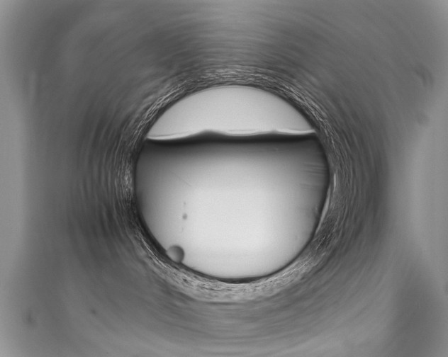 X0000111430048200907131049