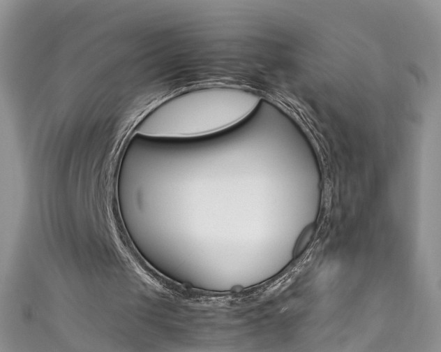 X0000111430049200907131048