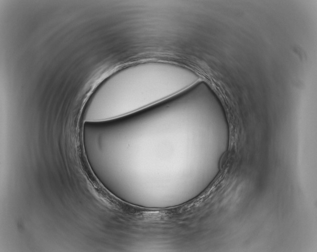 X0000111430050200907131048