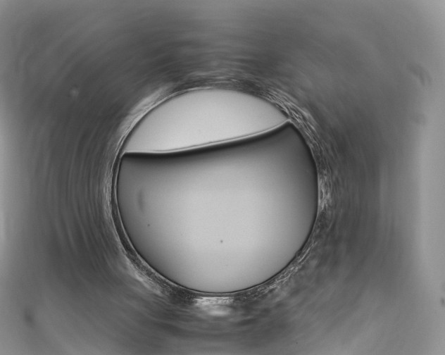 X0000111430051200907131048