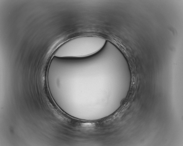 X0000111430053200907131048