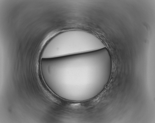 X0000111430054200907131048