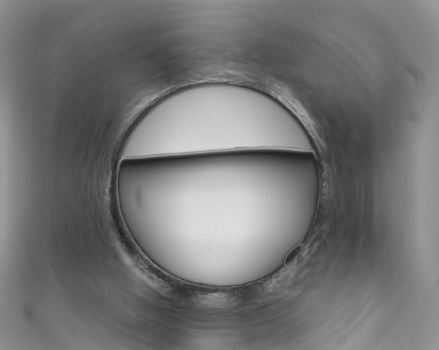 X0000111430058200907131048