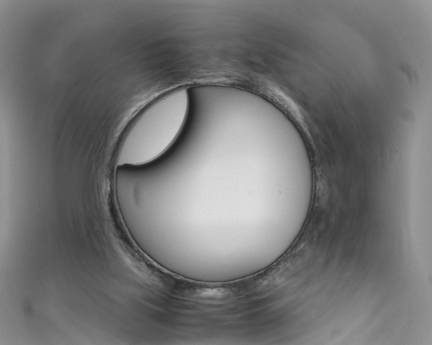 X0000111430059200907131048