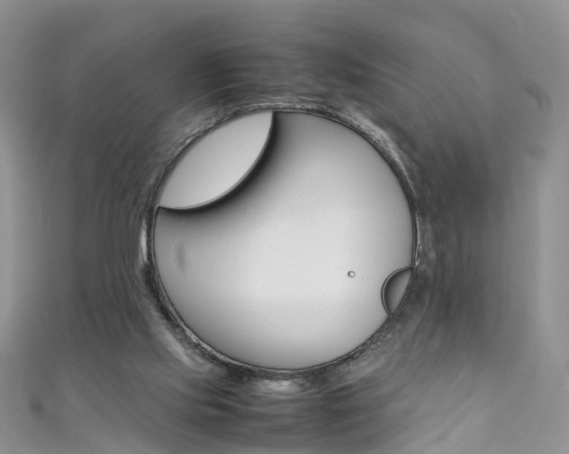 X0000111430061200907131048