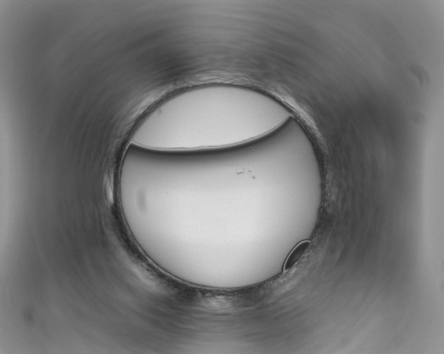 X0000111430062200907131048