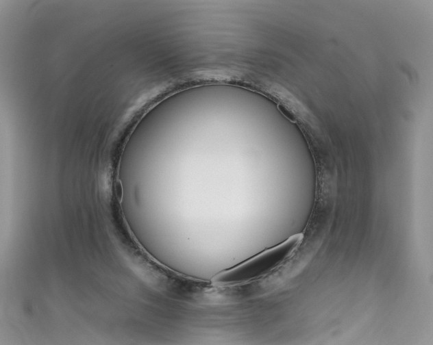 X0000111430064200907131048