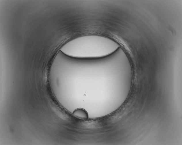 X0000111430065200907131048