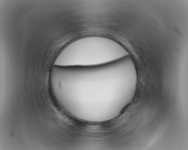 X0000111430066200907131048