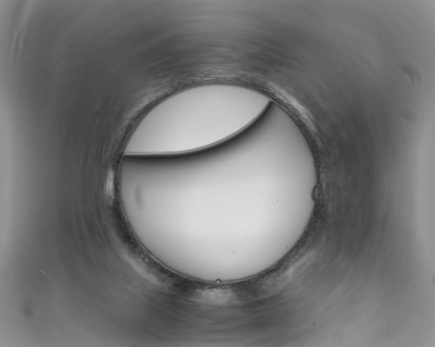 X0000111430067200907131048