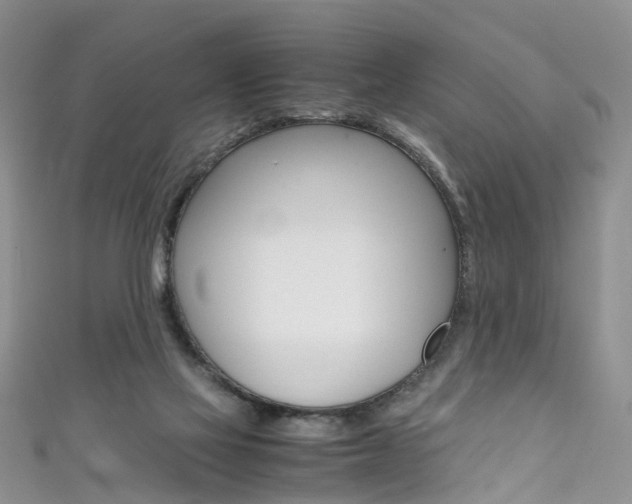 X0000111430069200907131049