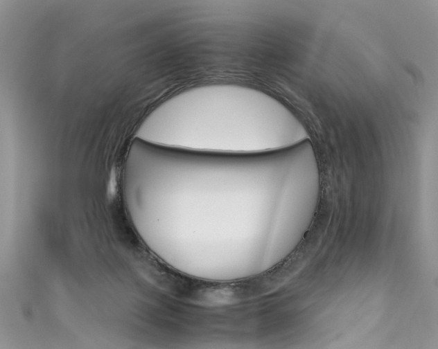 X0000111430075200907131049