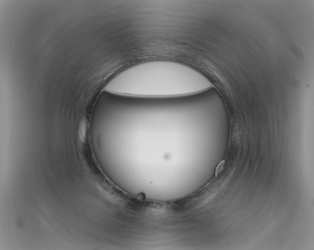 X0000111430076200907131049