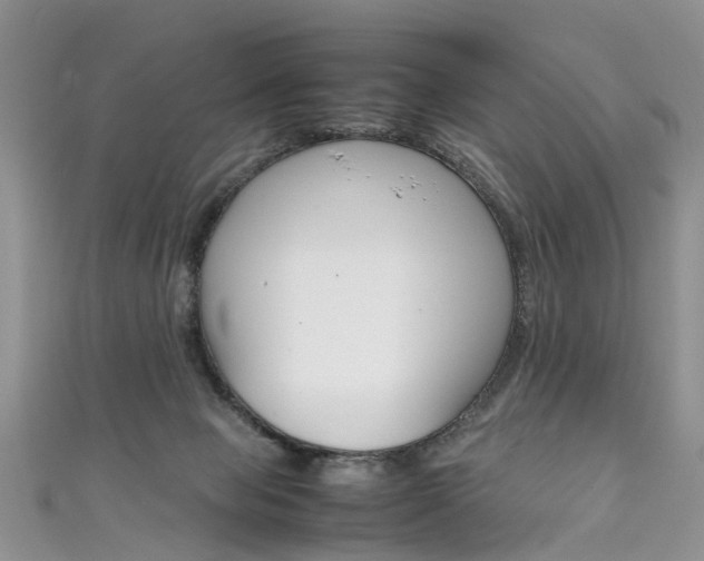 X0000111430077200907131049