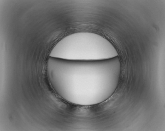 X0000111430078200907131049