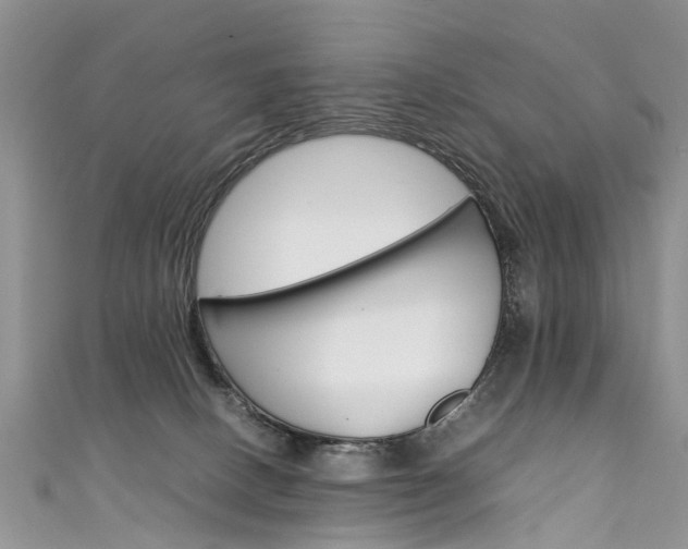 X0000111430082200907131049