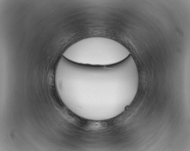 X0000111430083200907131049