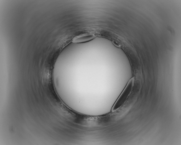 X0000111430084200907131049