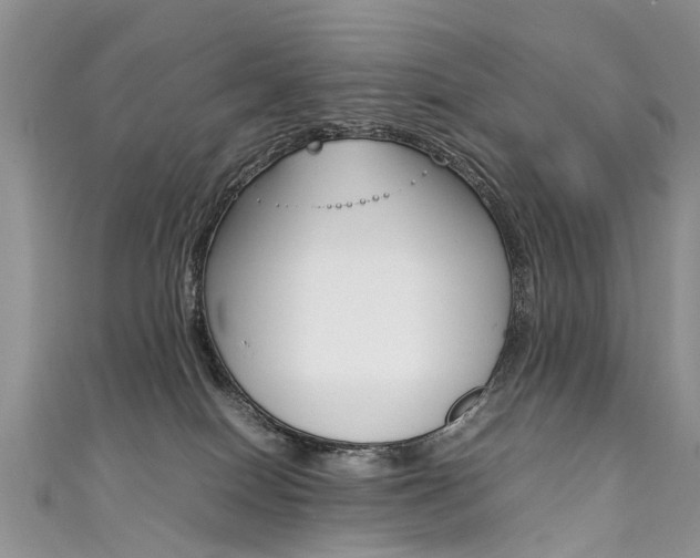 X0000111430086200907131049