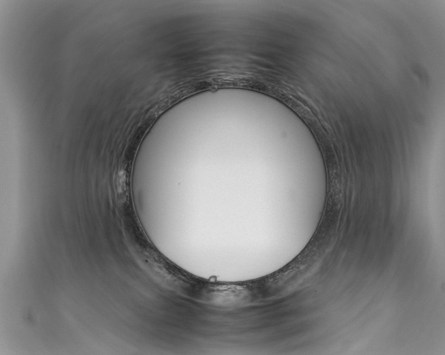 X0000111430087200907131049