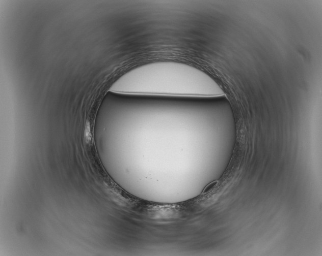 X0000111430089200907131049