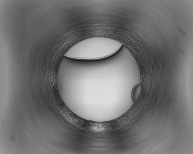 X0000111430091200907131049